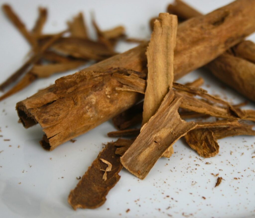 Ceylon Cinnamon sticks on white plate