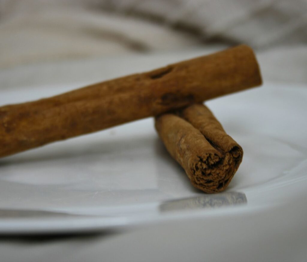 Ceylon Cinnamon sticks on white plate with beige background
