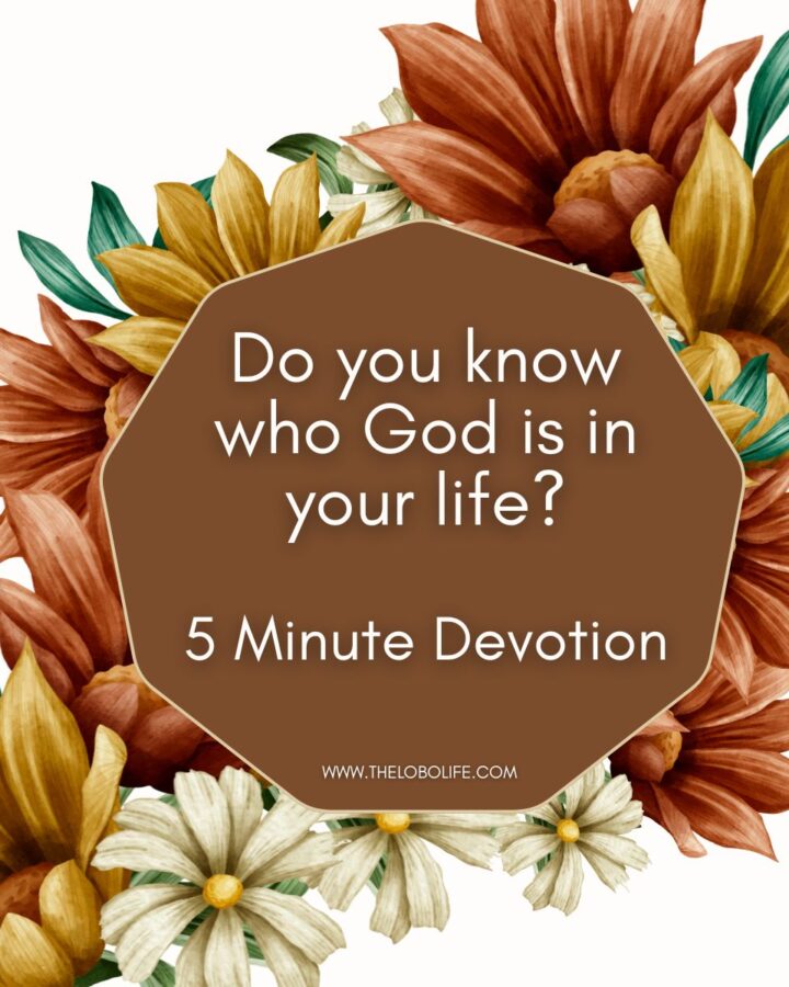 Devotion on God's love featured imagewith flowers