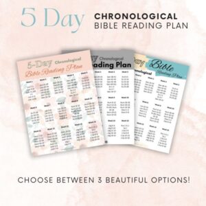 5 day chronological bible reading plan