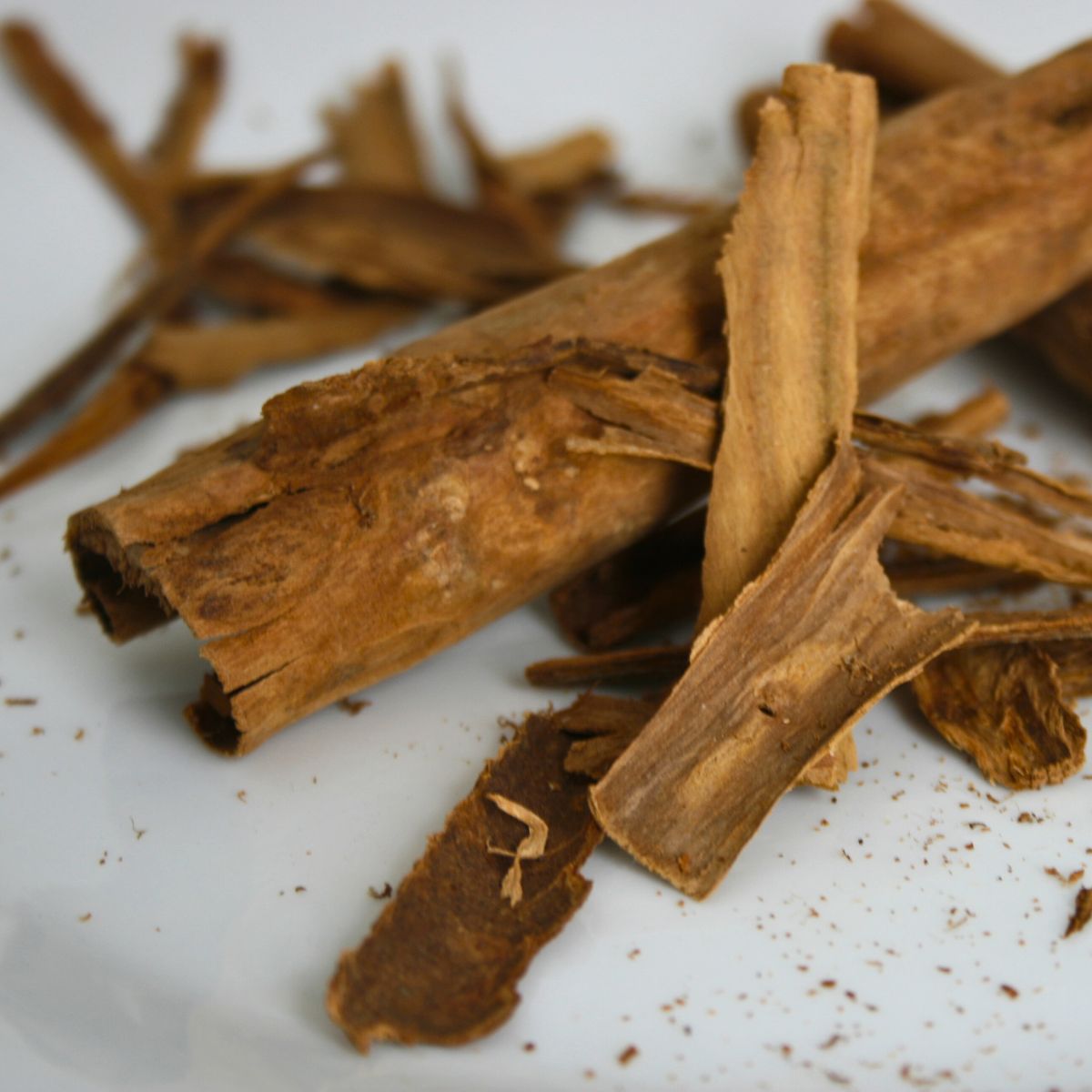 Ceylon Cinnamon white background